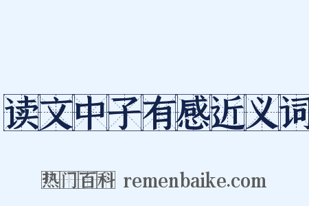 读文中子有感近义词是什么意思的图片